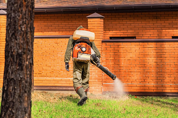 Bed Bug Clearance Verification and Documentation in Derby